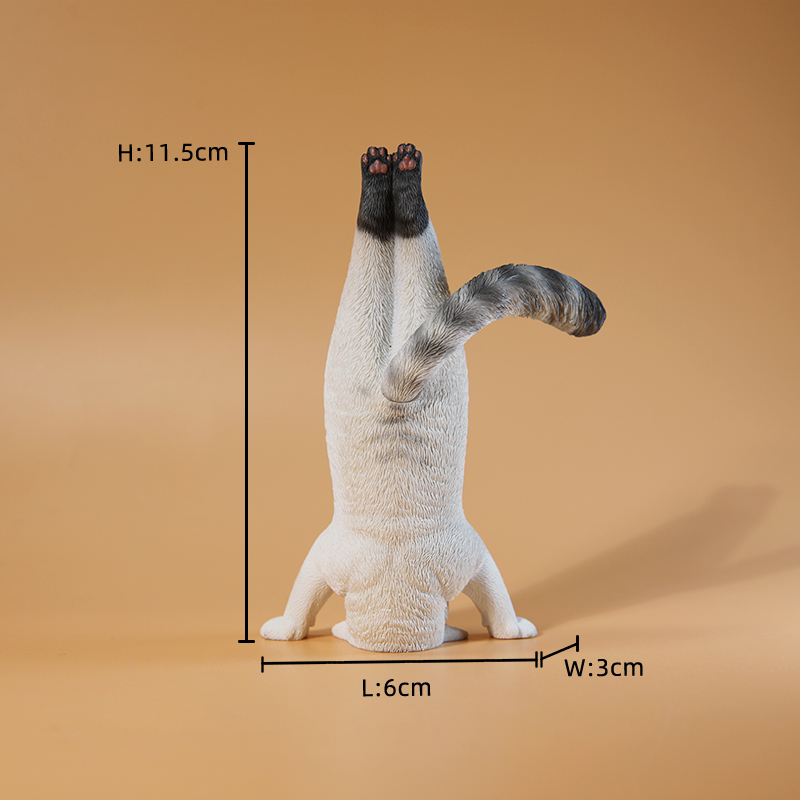 1/6 Ölçekli Mini Simüle Fitnes - Kids Yoga Toys incelemesi ve fiyatı