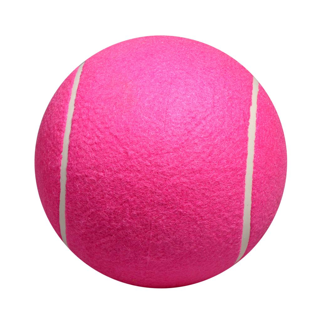 Köpek Tenis Topu Oyuncağı Şişi - Kids Toys Exhibition incelemesi ve fiyatı